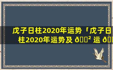 戊子日柱2020年运势「戊子日柱2020年运势及 🌲 运 🌴 程」